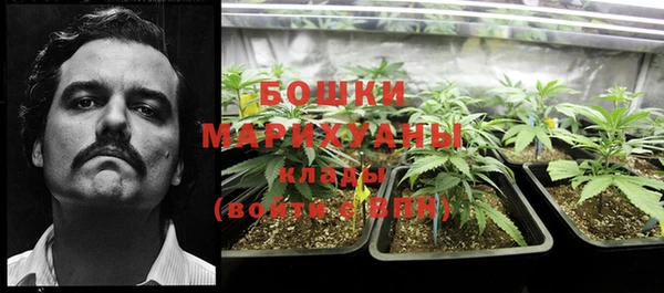 метадон Михайлов