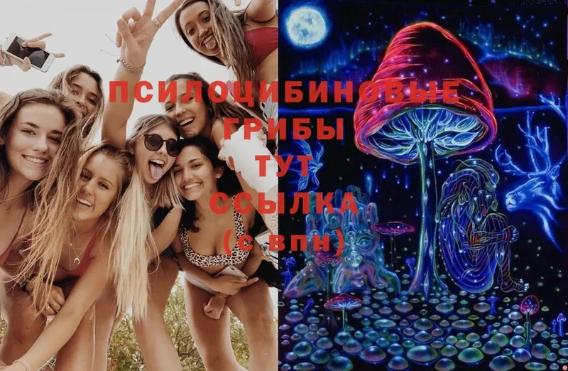 Галлюциногенные грибы Magic Shrooms  цена наркотик  Партизанск 